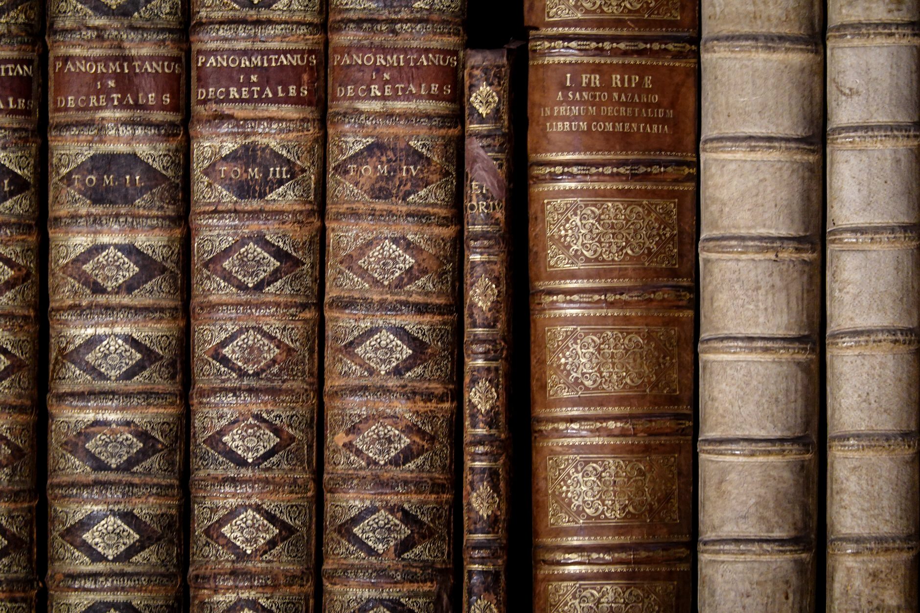 Leather-bound volumes of legal commentary, gold-tooled spines, on a library shelf
